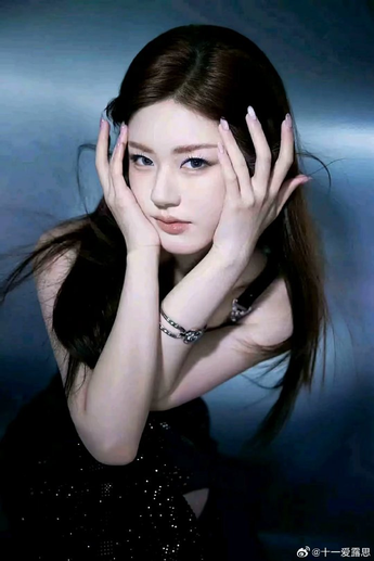 安装指南示意图